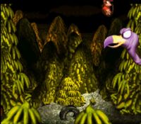 une photo d'Ã©cran de Donkey Kong Country sur Nintendo Super Nes